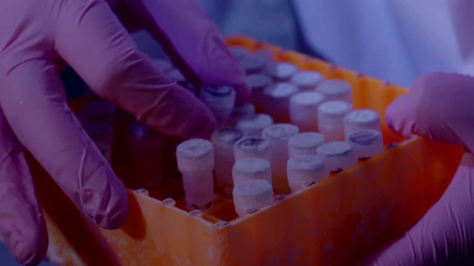 gute-viren_0004s_0005_gute-viren-bose-viren-6