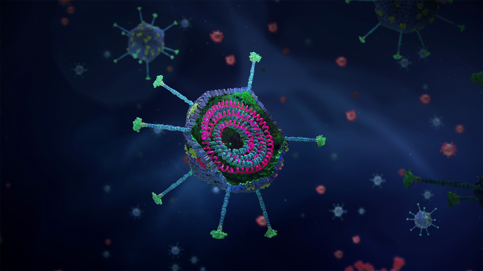 gute-viren_0004s_0000_gute-viren-bose-viren-3