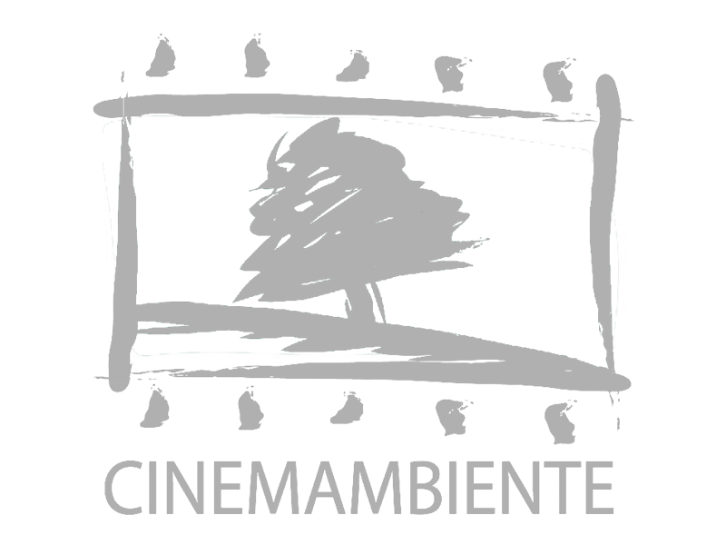 cinemambiente-Johan-von-mirbach-nomination-smoke-fumes-Machenschaften-arte