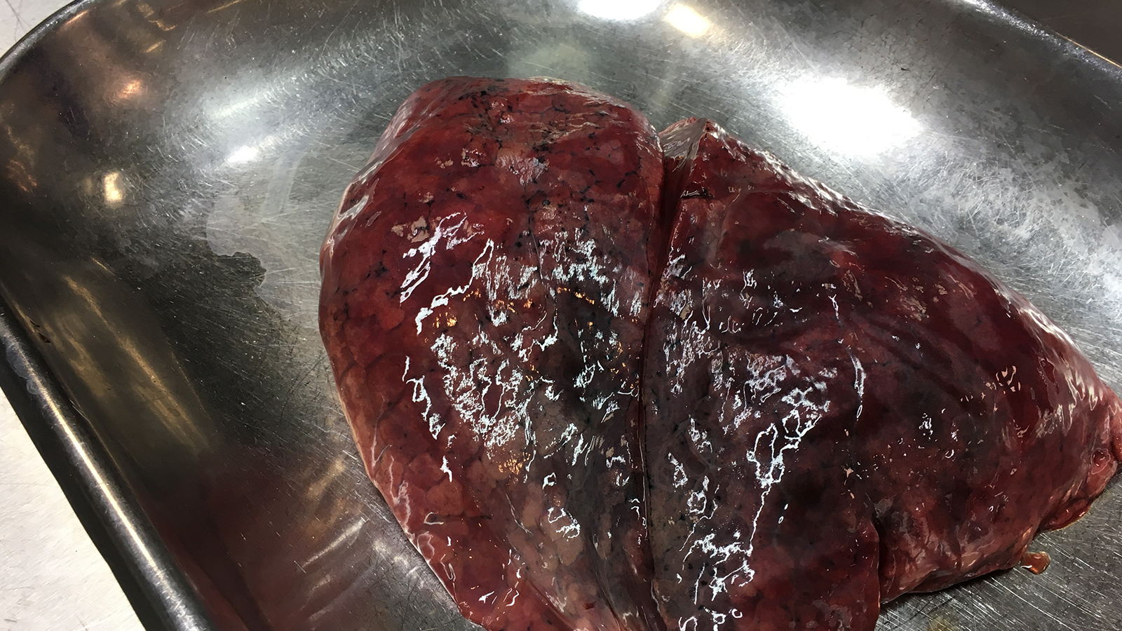 saubere-luft_0006s_0000_pressefoto-saubere-luft-7